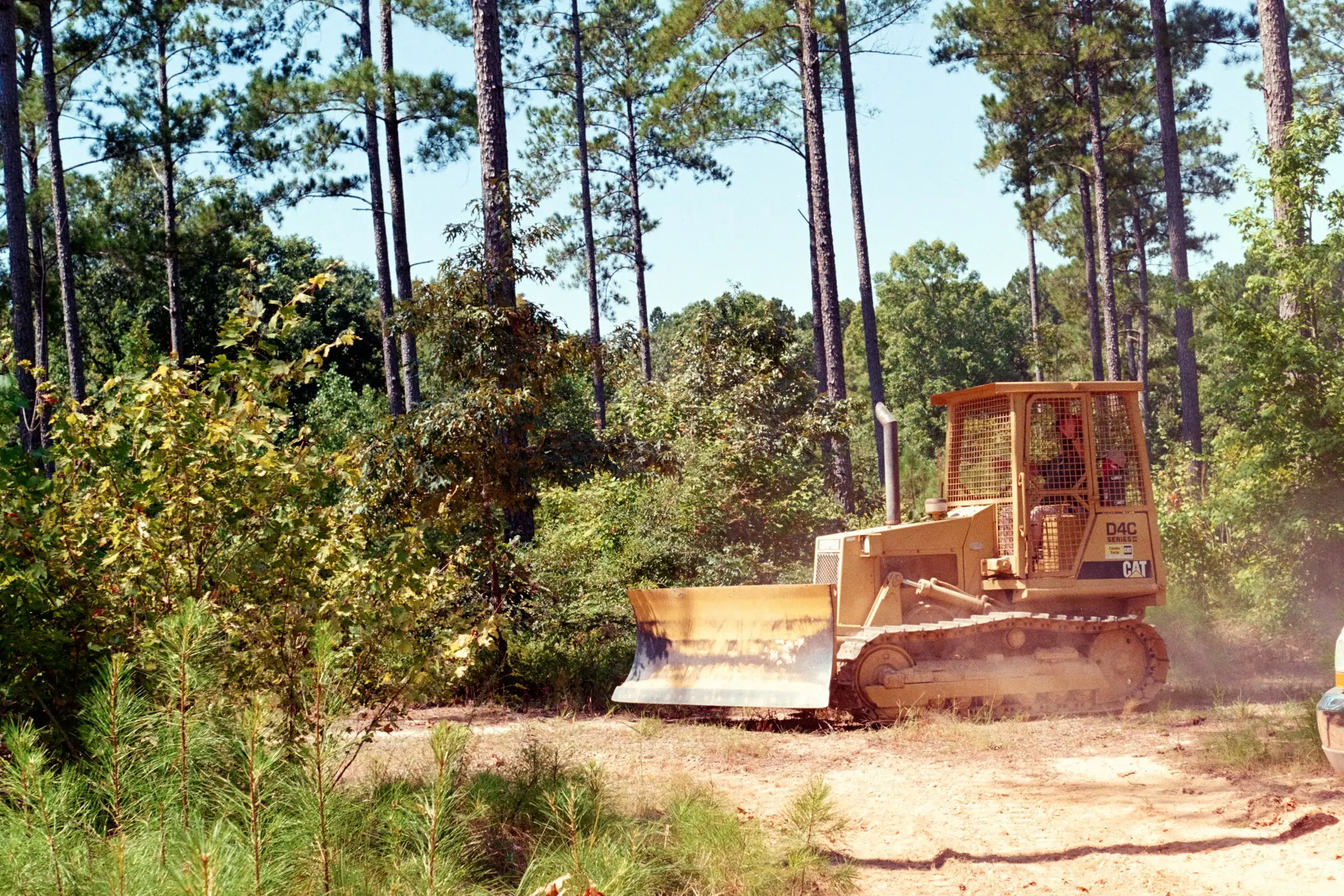 Crawler dozer clearing brush on a red clay lot with a pine tree line behind it